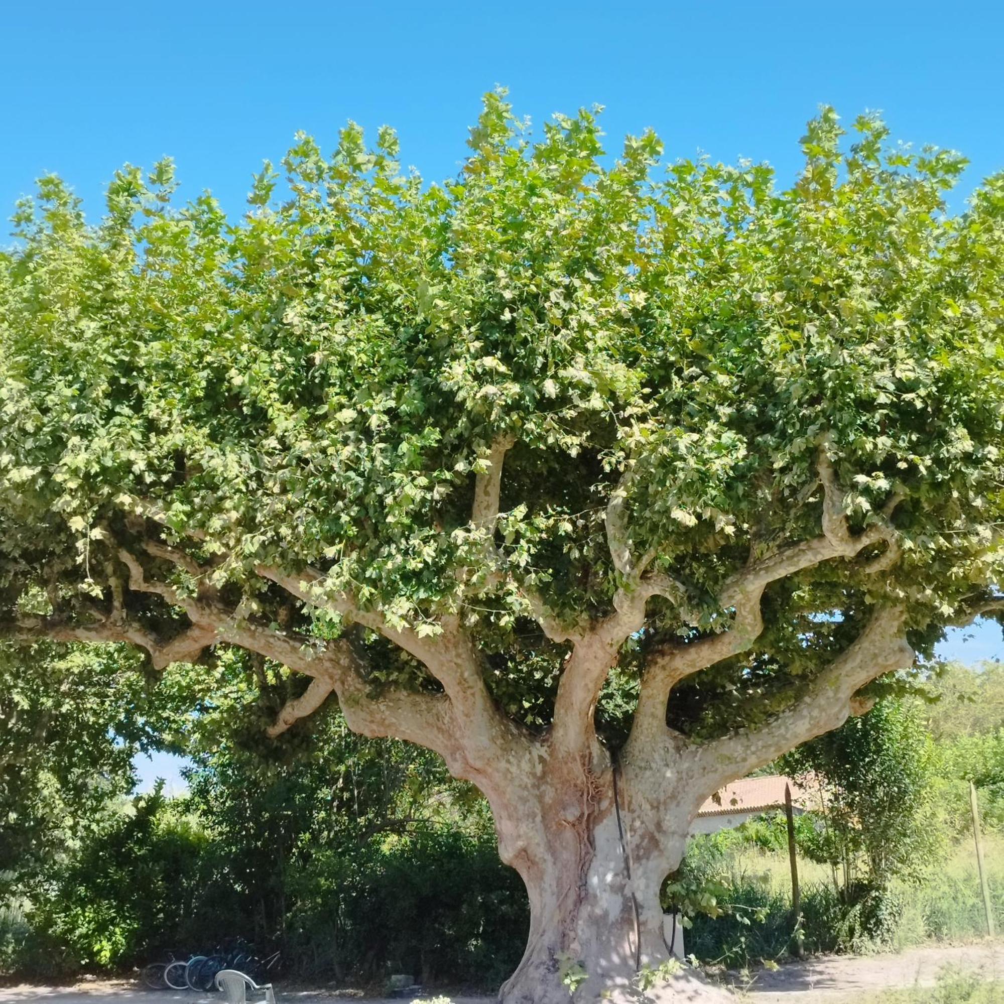 Mas En Provence Villa Le Thor Eksteriør billede