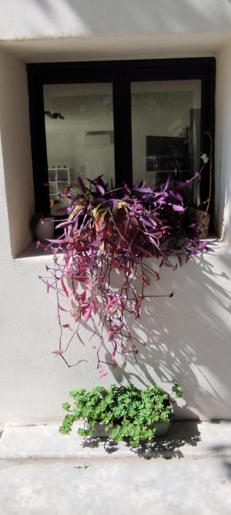 Mas En Provence Villa Le Thor Eksteriør billede